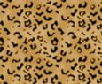 Textures-leopardsmall.jpg