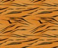 Textures-tigerprint.jpg