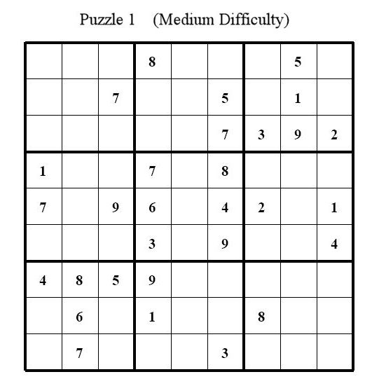 Sudoku Puzzle 1