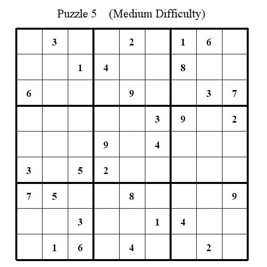 Sudoku Puzzle 5