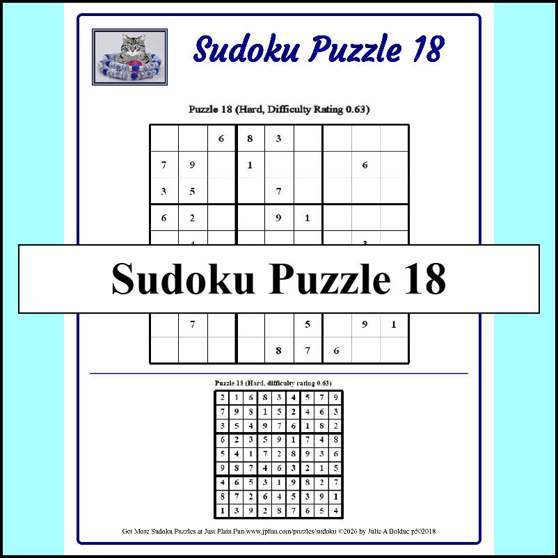 Sudoku Puzzle 18